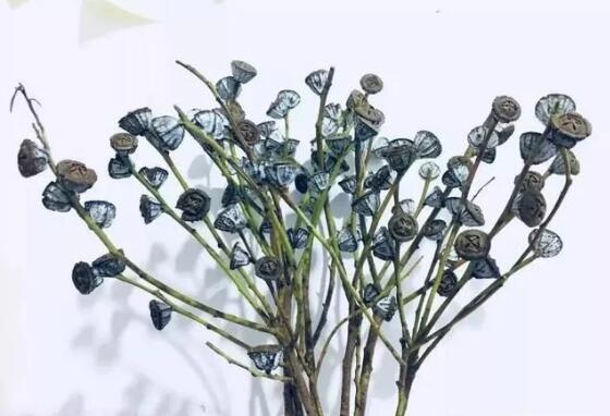 1582005304339703.jpg 2.jpg