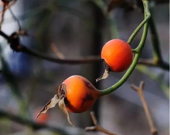 1582005651996437.jpg 7.jpg