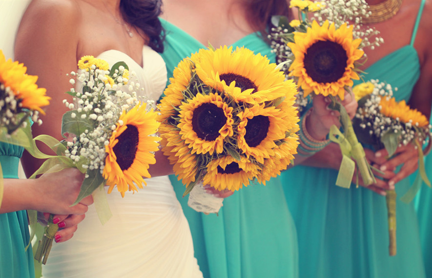 1582285536299293.jpg 255591974853411058.jpg