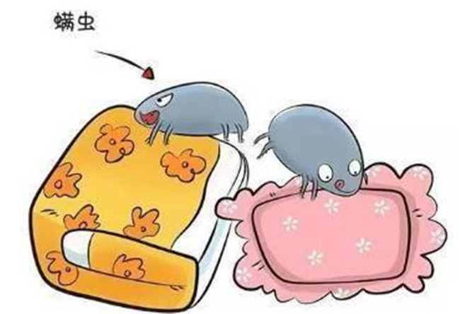 1599466123766964.jpg 8138ebafd6154c5aa5629173f8901799.jpg