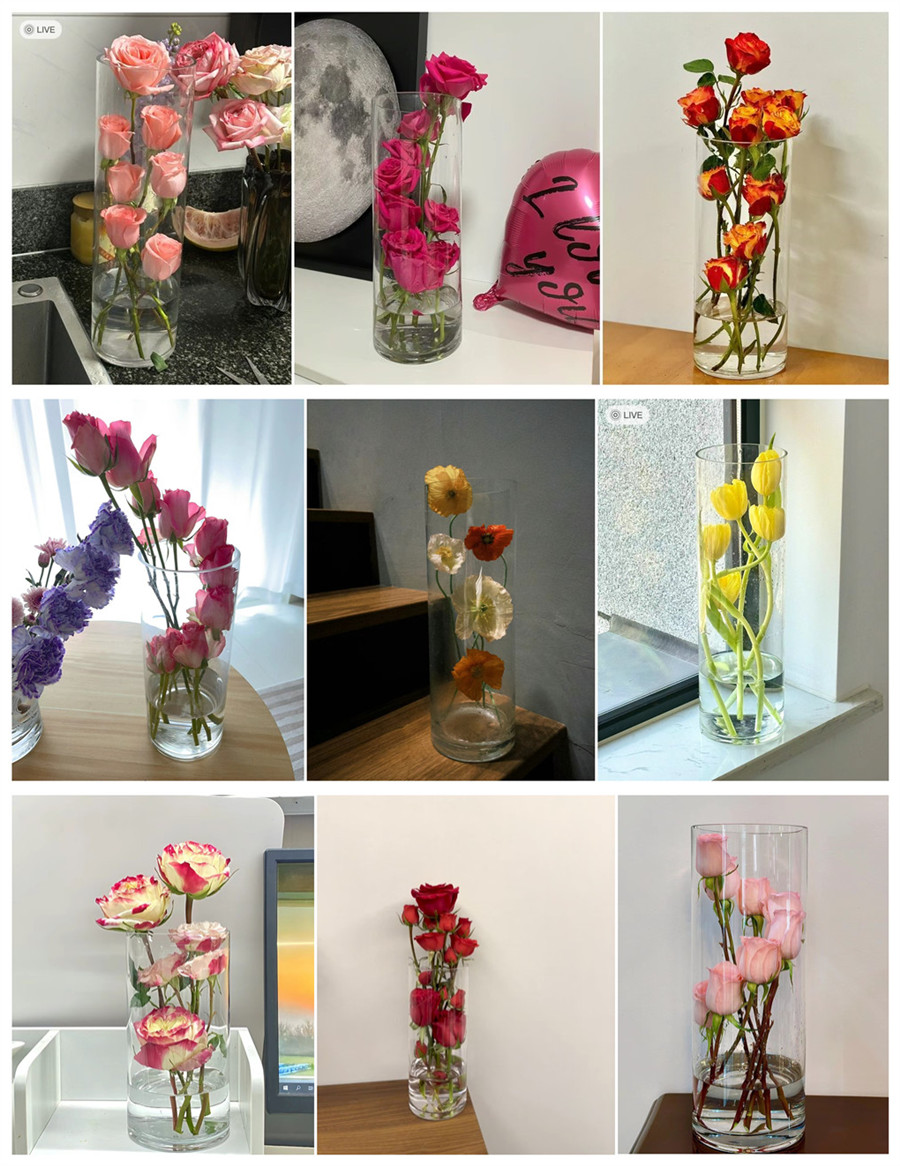 1710560543626881.jpg initpintu_副本.jpg