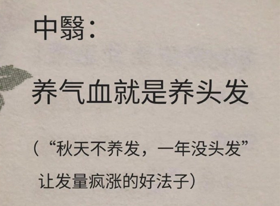 1733233160926190.jpg 7.jpg